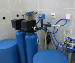 Donec in velit vel dolor