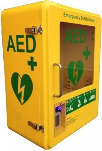 Image showing Outdoor AED Alarmed Cabinet with Keypad