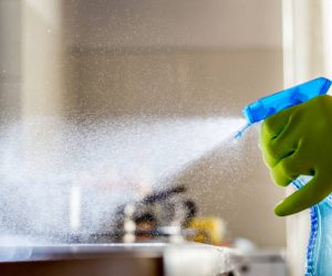 Antibacterial Surface Cleaner 750ml Spray